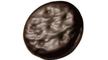 Homemade Thin Mints