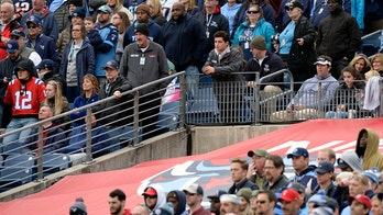 Fan reaching for free shirt at Titans game critical after fall over railing