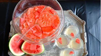 NOLET’S Silver Watermelon Sparkler Punch
