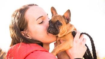 Dog-friendly Texas restaurant hiring 'puptern' to pet puppies for $100 an hour