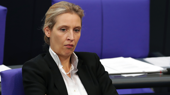 German far right party leader defends questioned donations
