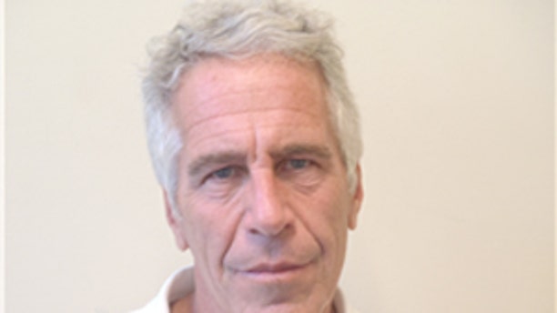 Jeffrey Epstein's picture in the Florida sex offender database.