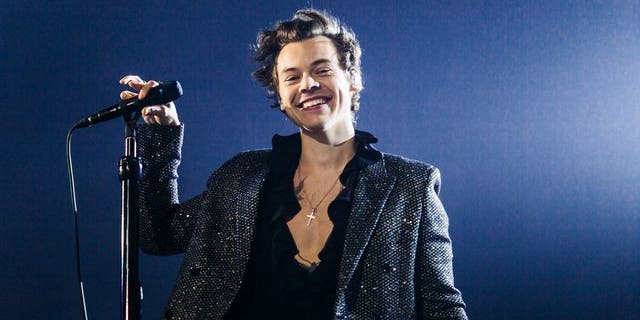 Harry Styles has had to postpone the European leg of his tour.