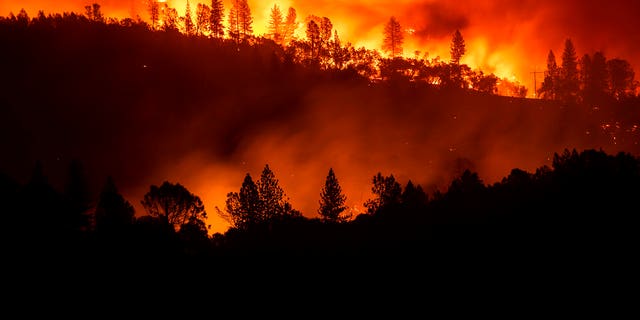 The Camp Fire burns along a ridgetop near Big Bend, Calif.