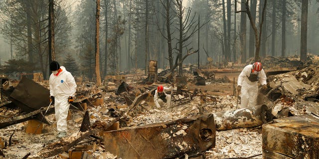 Search and rescue workers search for human remains at a trailer park burned by the Camp Fire, Tuesday, Nov. 13, 2018, in Paradise, California.