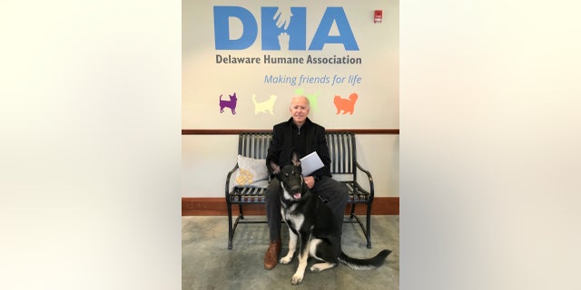 The Delaware Humane Association said Nov. 17, 2018, that President Biden and his wife, Jill, have adopted a 10-month-old German Shepherd named Major. Director of Animal Care Kerry Bruni said the Bidens had been providing foster care for the dog in their home for several months and were ready to make the adoption official.