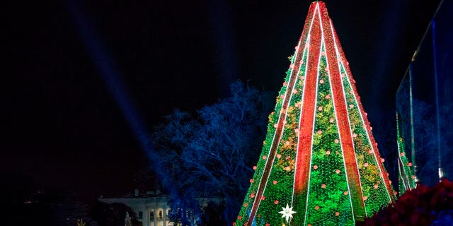 The National Christmas Tree is lit following a ceremony at the Ellipse near the White House in Washington, Wednesday, Nov. 28, 2018. (AP Photo/Andrew Harnik)