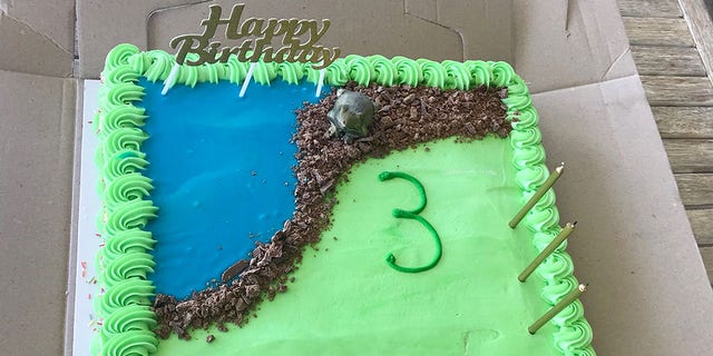 Another cake decorator managed to "save" the cake by making a frosting pond and placing a frog figurine on the cake right before guests arrived.