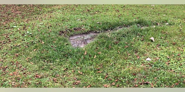 Raw sewage in residential yard, Lowndes County, AL.