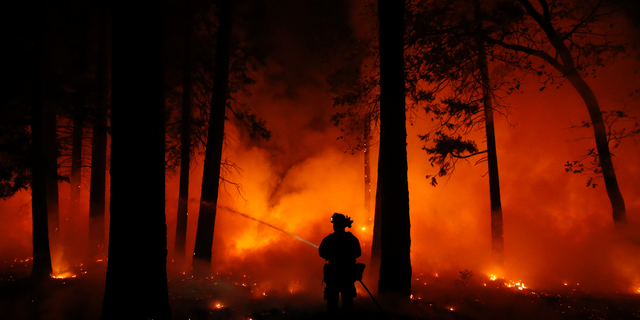 A firefighter sprays water on a controlled burn at a wildfire, Friday, Nov. 9, 2018, in Magalia, Calif. (AP Photo/John Locher)