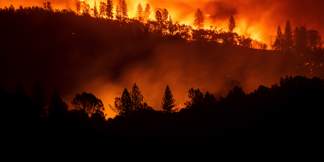 The Camp Fire burns along a ridgetop near Big Bend, Calif., on Saturday, Nov. 10, 2018. Crews working to contain the blaze overnight faced deteriorating weather conditions according to CalFire as winds picked up and humidity dropped. (AP Photo/Noah Berger)