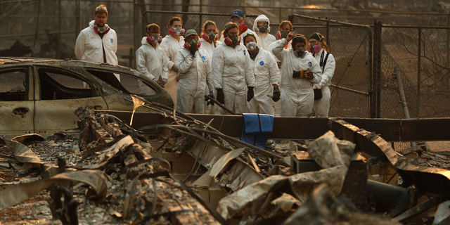 Anthropology students observe as human remains are recovered from a burned out home at the Camp Fire, Sunday, Nov. 11, 2018, in Paradise, Calif.