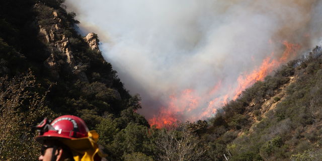 A firefighter monitors a wildfire burning along a hillside Sunday, Nov. 11, 2018, in Malibu, Calif.