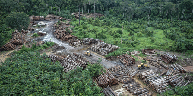 This May 8, 2018 photo released by the Brazilian Environmental and Renewable Natural Resources Institute (Ibama) shows an illegally deforested area on Pirititi indigenous lands as Ibama agents inspect Roraima state in Brazil's Amazon basin. (Felipe Werneck/Ibama via AP)