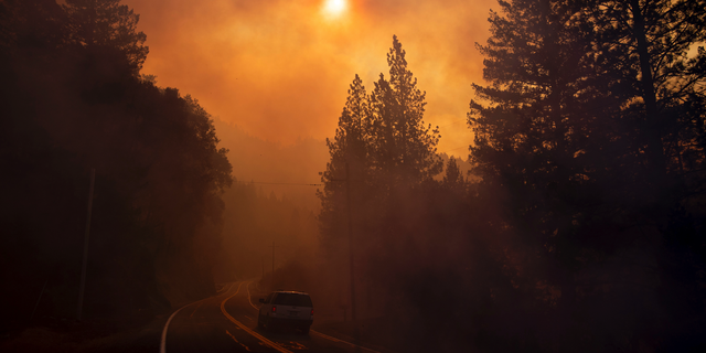 A vehicle drives through smoke from a wildfire near Pulga, Calif., Sunday, Nov. 11, 2018. (AP Photo/Noah Berger)