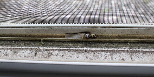 DNA test on a used cigarette butt left at the crime scene identified Jackson as the alleged burglar.