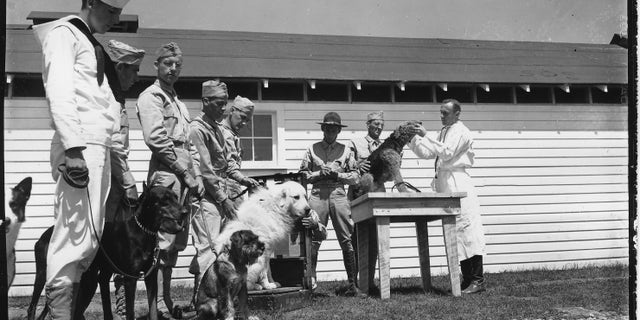 Front Royal Inspection.