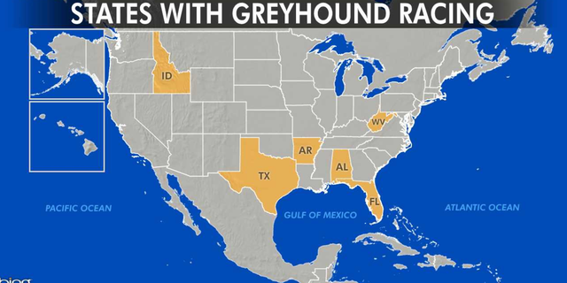 The Sunshine State has more racing greyhounds than any other and is home to 11 of the nation’s 17 active dog tracks in five other states: Alabama, Arkansas, Idaho, Texas and West Virginia.