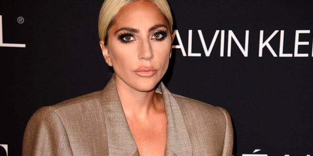Lady Gaga brought pizza to shelter for California fire evacuees.