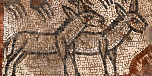 Previously, only portions of the mosaics were released, such as this one from the Noah's Ark panel. (Jim Haberman, Courtesy UNC-Chapel Hill)
