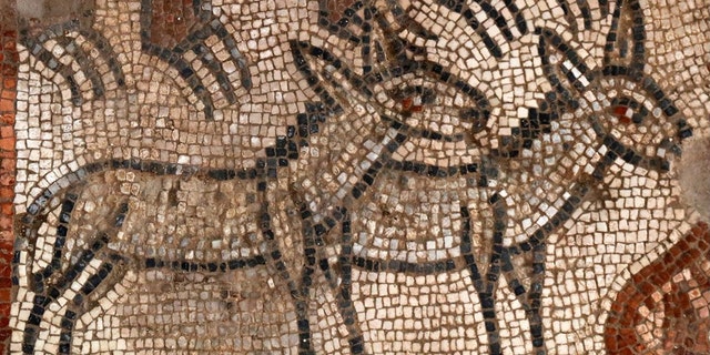 Previously, only portions of the mosaics were released, such as this one from the Noah's Ark panel. (Jim Haberman, Courtesy UNC-Chapel Hill)
