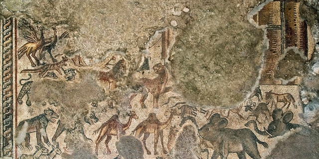 Huqoq mosaic depicting Noah's Ark. (Jim Haberman, Courtesy UNC-Chapel Hill)
