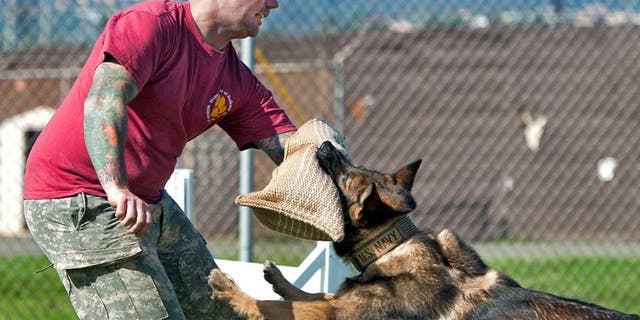 Master Sgt. Nicholas Vollweiler, 35, was found with stab wounds at his off-base residence in Western Tokyo on Friday and later died at a hospital.