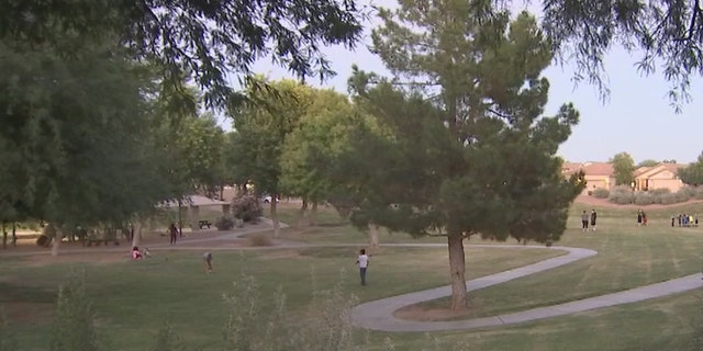 An 11-year-old girl in Arizona thwarted a possible kidnapping last week by asking for a "code word."