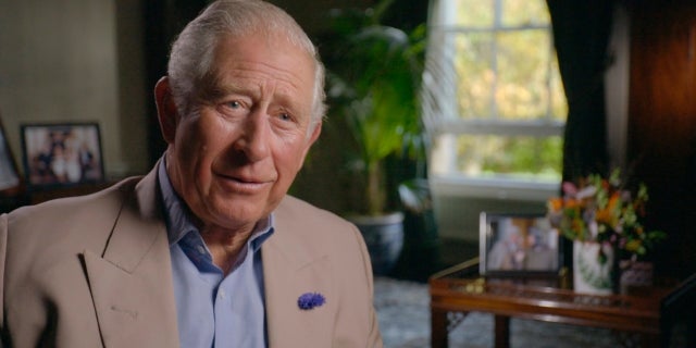 Prince Charles said he would keep his views to himself when he is king.