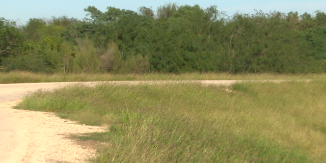 The new wall would run along this levee road of the National Butterfly Center, separating 70 acres on the southern section of the levee.