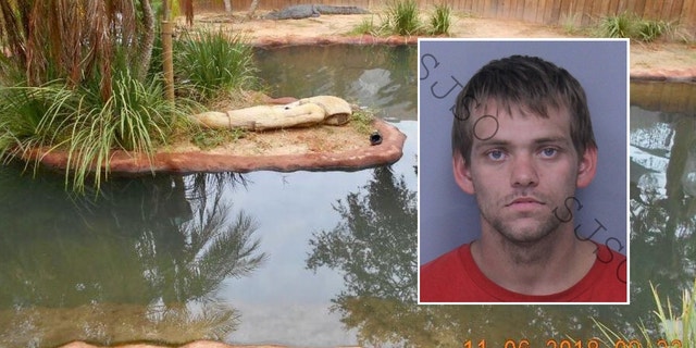 Brandon Keith Hatfield was arrested after he broke into a Florida alligator farm and swam in a pool before being attacked by a crocodile, police said.