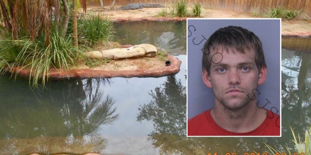 Brandon Keith Hatfield was arrested after he broke into a Florida alligator farm and swam in a pool before being attacked by a crocodile, police said.