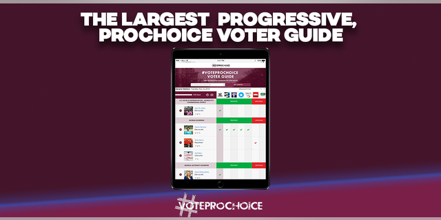 Heidi Sieck is the co-founder of #VoteProChoice, an organization encouraging Americans to elect abortion rights advocates.