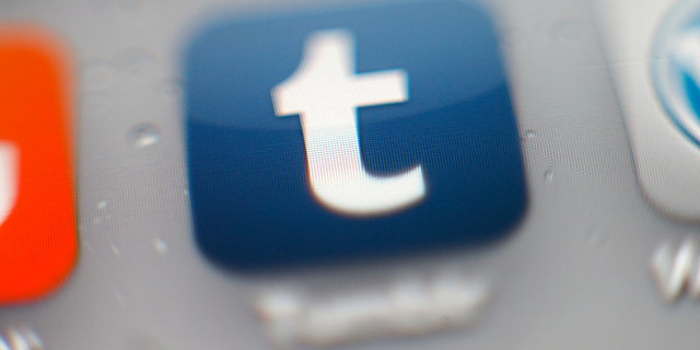 File photo - Tumblr iPhone mobile app icon.