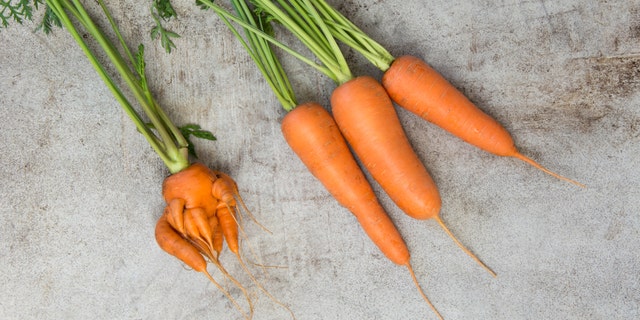 This freaky-looking carrot might find a home