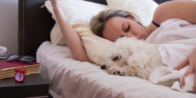 sleeping with dogs study