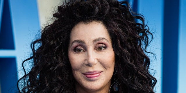 Sher told her fans on Friday that her friends' homes have burned due to Woolsey fire.