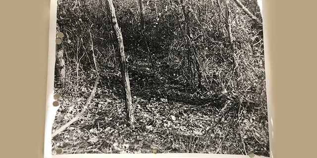 Crime scene from an unsolved murder dating back to the summer of 1972, in which a hunter discovered human remains in a wooded area off Route 197 along the Baltimore-Washington Parkway in Laurel.