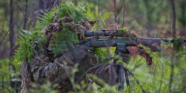 File photo of a heavily camouflaged sniper (U.S. Army)