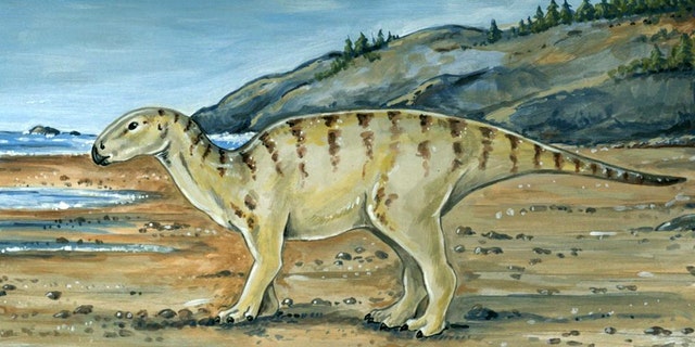 Illustration of what the ornithopod may have looked like.