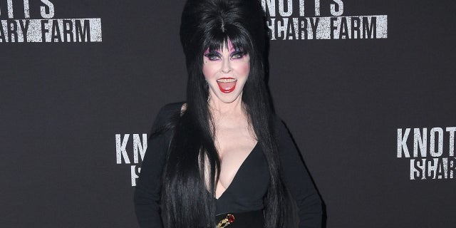 Cassandra Peterson, star in 1988's "Elvira, Mistress of the Dark" urged her fans to get out and vote.