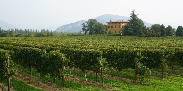 Franciacorta, Italy is the perfect sparkling wine destination.