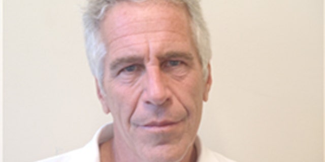 Jeffrey Epstein's picture in the Florida sex offender database.