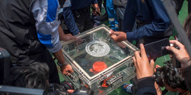 Lion Air pilots struggled to maintain control of their Boeing jet as an automatic safety system in the aircraft repeatedly pushed the plane's nose down, according to a draft of a preliminary report by Indonesian officials who are looking into the deadly crash.