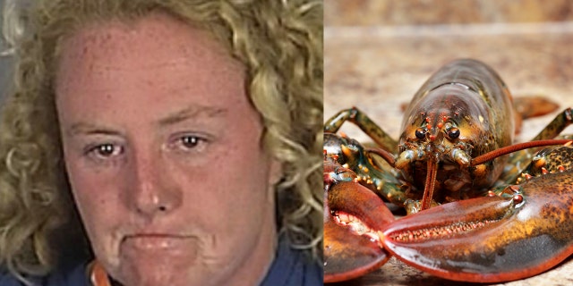 Upon her arrest, the woman continued cursing, stating that she “did not know what she did with the lobster” because she was "blacked out drunk.”