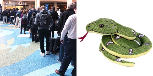 A five-year-old boy had to leave behind his beloved snake toy because the airport allegedly wouldn't let him fly with it.
