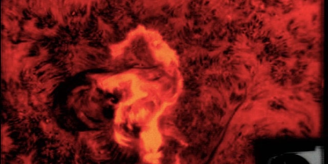 This so-called seahorse flare shot up on the disk of the sun on Aug. 7, 1972, LiveScience notes. The radiation from it would've been harmful to astronauts if a moon mission had been in progress. (Credit: NASA)