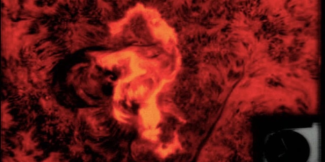 This so-called seahorse flare shot up on the disk of the sun on Aug. 7, 1972, LiveScience notes. The radiation from it would've been harmful to astronauts if a moon mission had been in progress. (Credit: NASA)