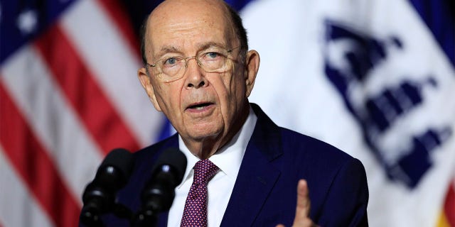 In this July 16, 2018, photo, Commerce Secretary Wilbur Ross speaks to department employees in Washington. (AP Photo/Manuel Balce Ceneta, File)