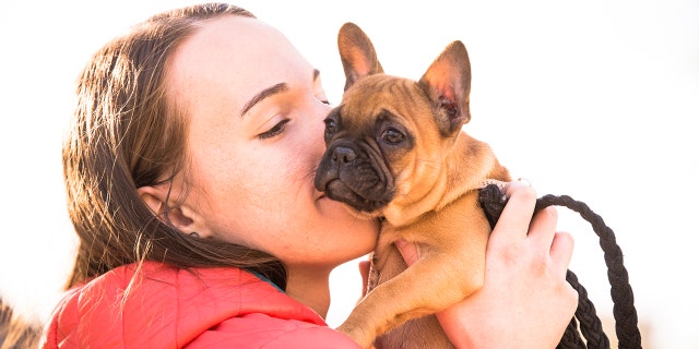 Dog lovers everywhere are vying to be selected as the inaugural “puptern” at one dog-friendly restaurant in Texas.